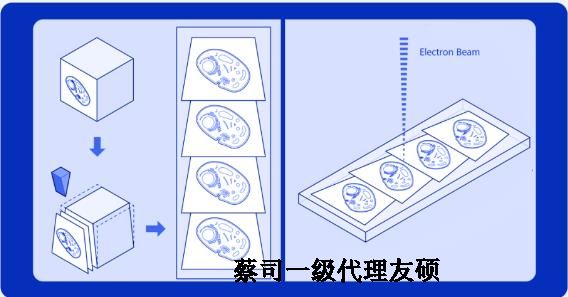 阿拉尔蔡司阿拉尔扫描电镜