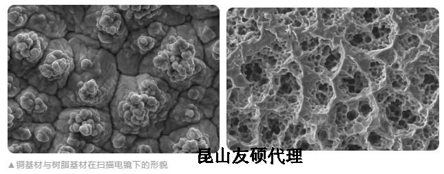 阿拉尔蔡司阿拉尔扫描电镜