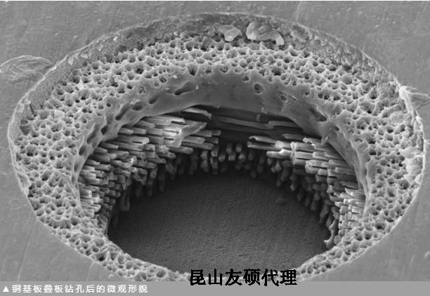 阿拉尔蔡司阿拉尔扫描电镜